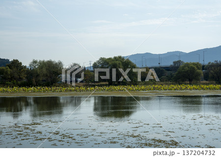 Han River bike path Han River bike path 137204732