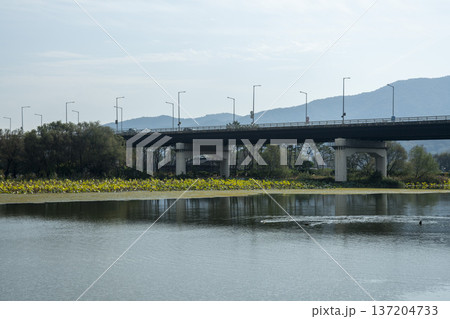 Han River bike path Han River bike path 137204733