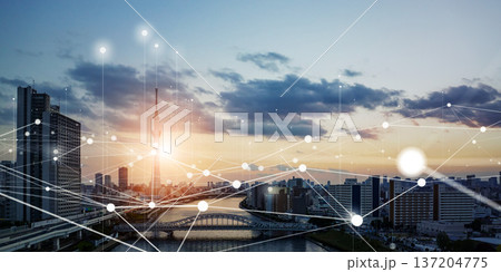 都市と通信ネットワークのコンセプトイメージ 137204775