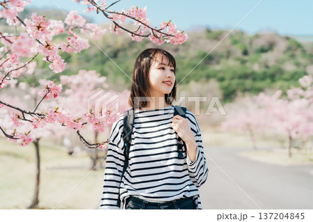 桜と大学生 137204845