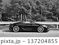 艶々の黒いオープンカー 137204855