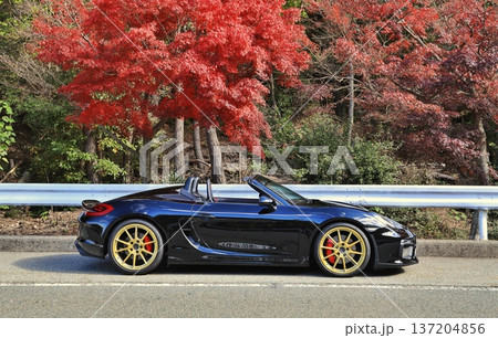 紅葉と艶々の黒いオープンカー 紅葉と艶々の黒いオープンカー 137204856