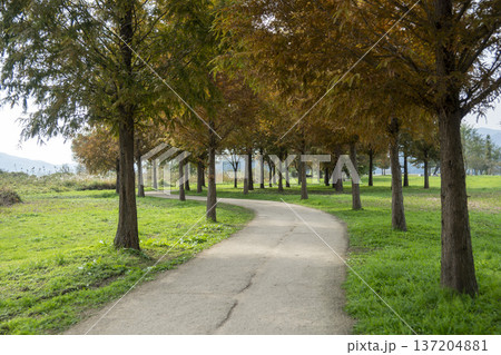 Han River bike path 137204881