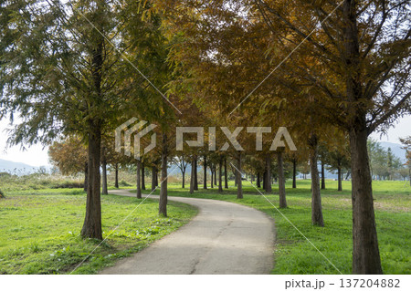 Han River bike path Han River bike path 137204882
