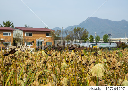 Han River bike path Han River bike path 137204907