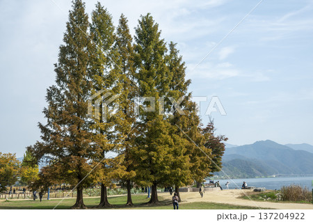 Han River bike path Han River bike path 137204922