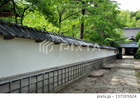 松江の月照寺 松江の月照寺 137205024