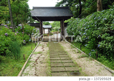松江の月照寺 松江の月照寺 137205029