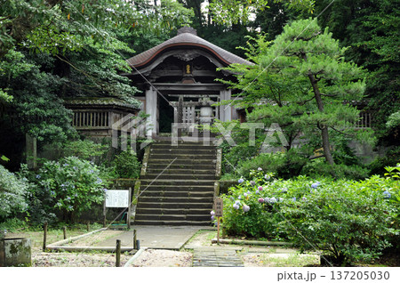 松江の月照寺 松江の月照寺 137205030