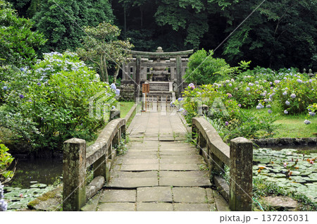 松江の月照寺 松江の月照寺 137205031