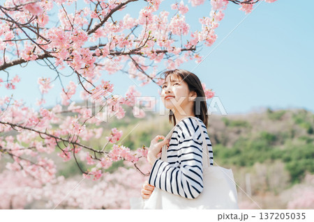 桜と大学生 桜と大学生 137205035