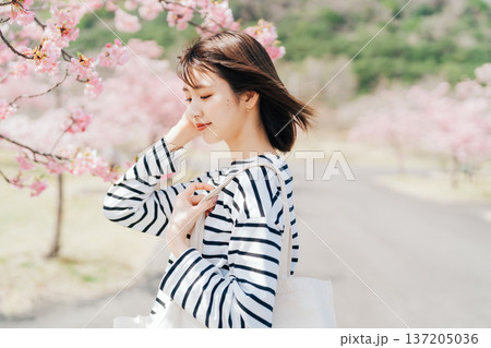 桜と大学生 137205036