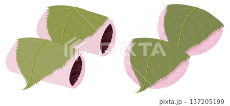 桜餅2種類のベクターイラスト（関東風・関西風） 137205199