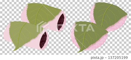 桜餅2種類のベクターイラスト（関東風・関西風） 137205199