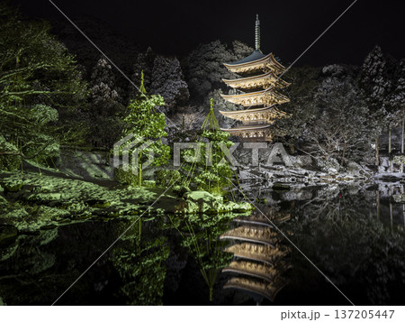雪の瑠璃光寺五重塔 137205447