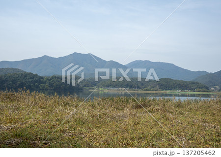 Han River bike path Han River bike path 137205462