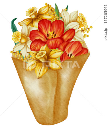 Watercolor illustration of red tulips and daffodils. Spring floral illustration is perfect for holiday cards, greeting cards, International Women's Day cards, and Easter cards. 137205961