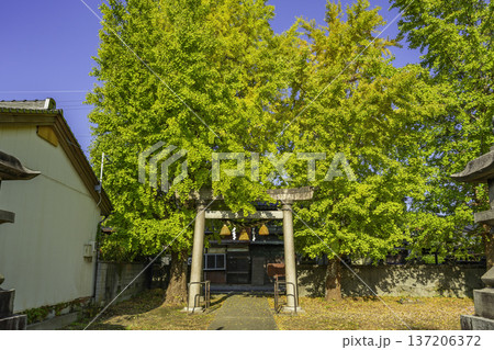 高岡 吉久神明社 富山県高岡市 高岡 吉久神明社 富山県高岡市 137206372