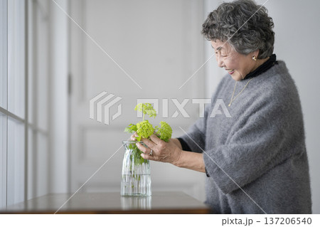 部屋に花を飾るシニア女性 部屋に花を飾るシニア女性 137206540