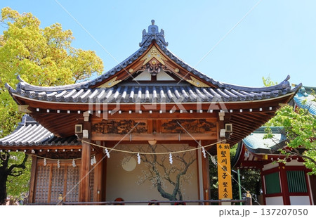 亀戸天神社の能楽堂 東京都江東区亀戸3丁目 亀戸天神社の能楽堂 東京都江東区亀戸3丁目 137207050