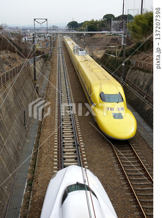 大府市を疾走するD.イエロー 大府市を疾走するD.イエロー 137207398