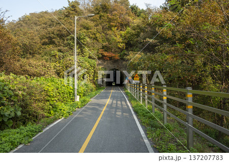 Han River bike path Han River bike path 137207783
