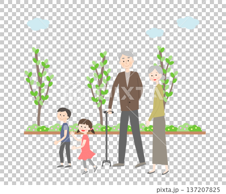 散歩するシニア夫婦と孫 137207825