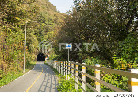 Han River bike path 137207848