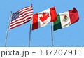 USA, Canada and Mexico World Cup Flags. 137207911