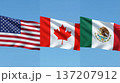 USA, Canada and Mexico World Cup Flags. 137207912