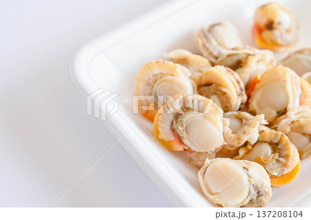 生食用アズマニシキ貝 137208104