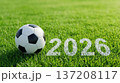 Soccer Ball on Grass Field 2026 Concept. 137208117