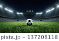 Soccer Ball on Grass Field 137208118