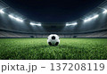 Soccer Ball on Grass Field  137208119
