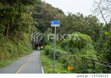 Han River bike path 137208123