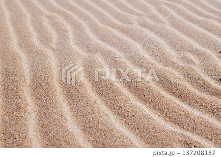Textured sand dunes with gentle waves and patterns in golden brown tones under natural light Textured sand dunes with gentle waves and patterns in golden brown tones under natural light 137208187