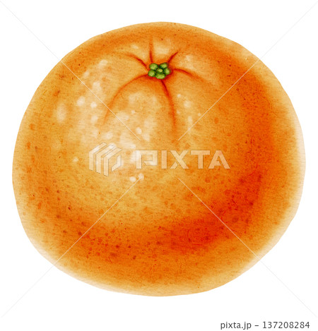 Tangerine. Watercolor illustration of an orange mandarin. A tropical fruit. This fresh citrus fruit is perfect for New Year's designs, packaging, greeting cards, kitchen decor and branding, food blogs Tangerine. Watercolor illustration of an orange mandarin. A tropical fruit. This fresh citrus fruit is perfect for New Year's designs, packaging, greeting cards, kitchen decor and branding, food blogs 137208284