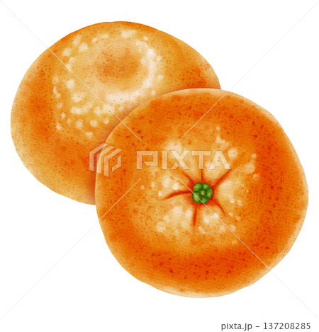 Composition of fresh mandarins. Hand drawn watercolor painting of a tangerine with green leaves. Citrus illustrations for New Year designs, packaging, menus, branding, and food product design 137208285
