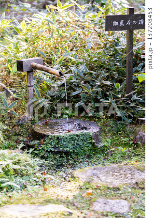 京都　東山泉涌寺　来迎院　含翆庭　伽藍石の蹲踞 137208453