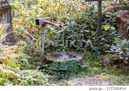 京都 東山泉涌寺 来迎院 含翆庭 伽藍石の蹲踞 京都 東山泉涌寺 来迎院 含翆庭 伽藍石の蹲踞 137208454