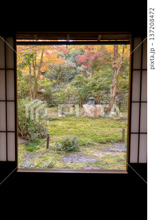 京都 東山泉涌寺 来迎院 客殿から見る 含翆庭の紅葉 もみじ 京都 東山泉涌寺 来迎院 客殿から見る 含翆庭の紅葉 もみじ 137208472