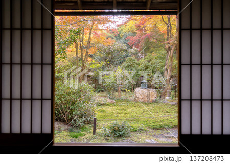 京都　東山泉涌寺　来迎院　客殿から見る　含翆庭の紅葉　もみじ 137208473