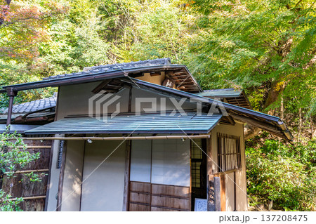 京都　東山泉涌寺　来迎院　茶室　含翆軒（大石内蔵助が建立）もみじの紅葉 137208475