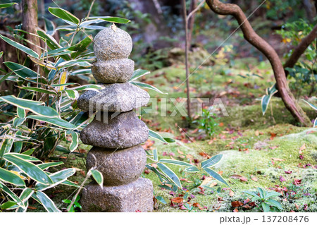 京都 東山泉涌寺 来迎院 含翆庭の石塔 苔庭 京都 東山泉涌寺 来迎院 含翆庭の石塔 苔庭 137208476