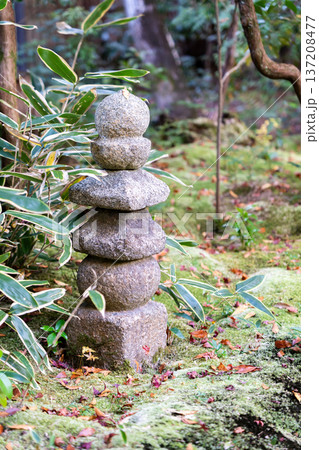京都　東山泉涌寺　来迎院　含翆庭の石塔　苔庭 137208477