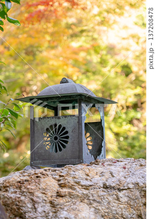 京都 東山泉涌寺 来迎院 含翆庭の灯籠と紅葉のもみじ 京都 東山泉涌寺 来迎院 含翆庭の灯籠と紅葉のもみじ 137208478