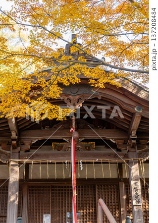 京都 東山泉涌寺 来迎院 三寶大荒神堂(前田利家が再建) 紅葉のもみじ 京都 東山泉涌寺 来迎院 三寶大荒神堂(前田利家が再建) 紅葉のもみじ 137208484