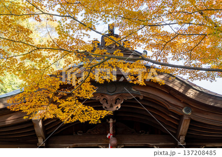 京都　東山泉涌寺　来迎院　三寶大荒神堂（前田利家が再建）　紅葉のもみじ 137208485
