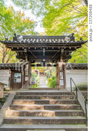 京都 東山泉涌寺 来迎院 山門 京都 東山泉涌寺 来迎院 山門 137208488