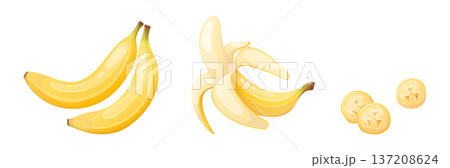 A set of vector images of a whole, peeled banana and its slices 137208624